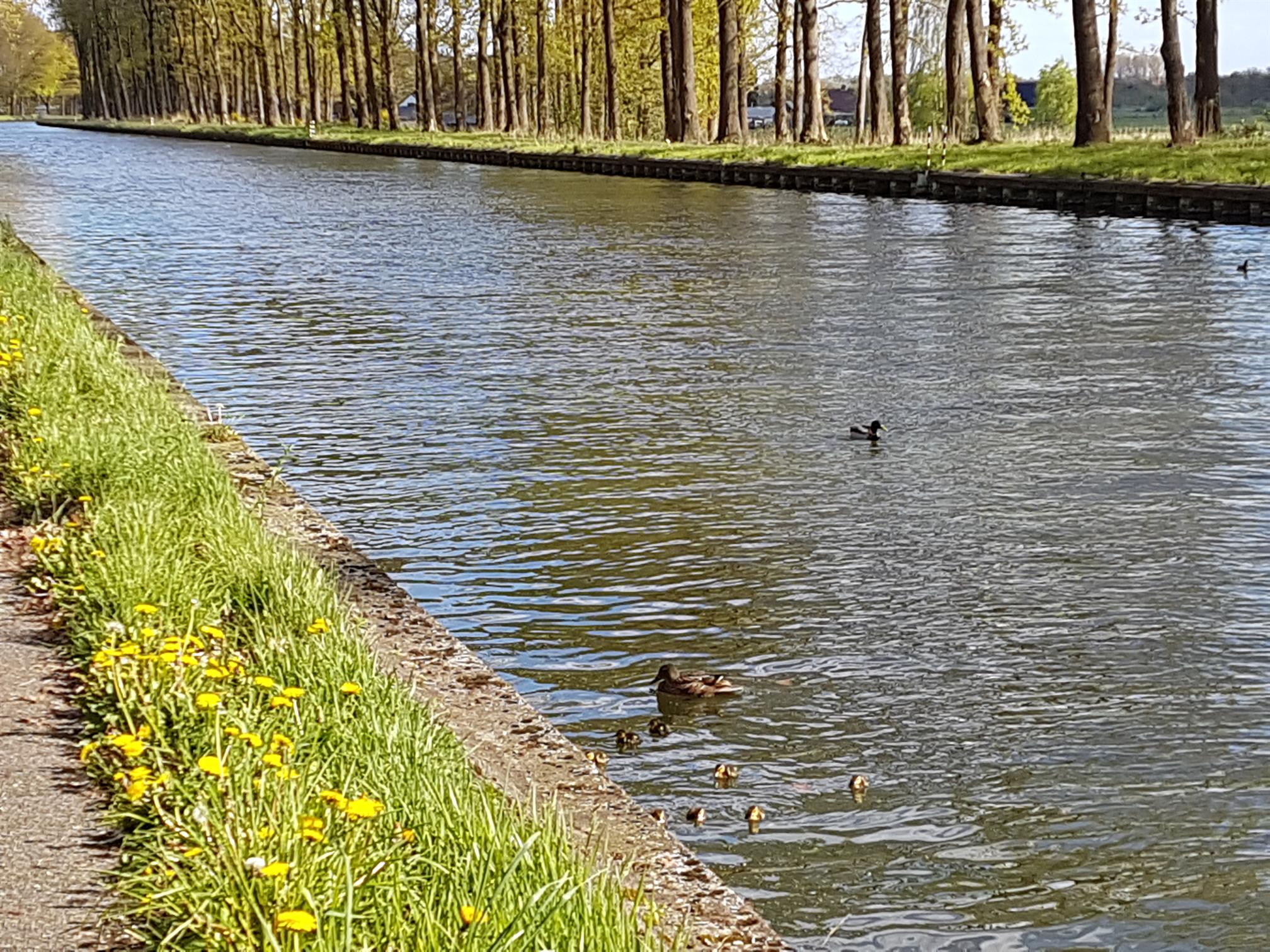 20160503_170702