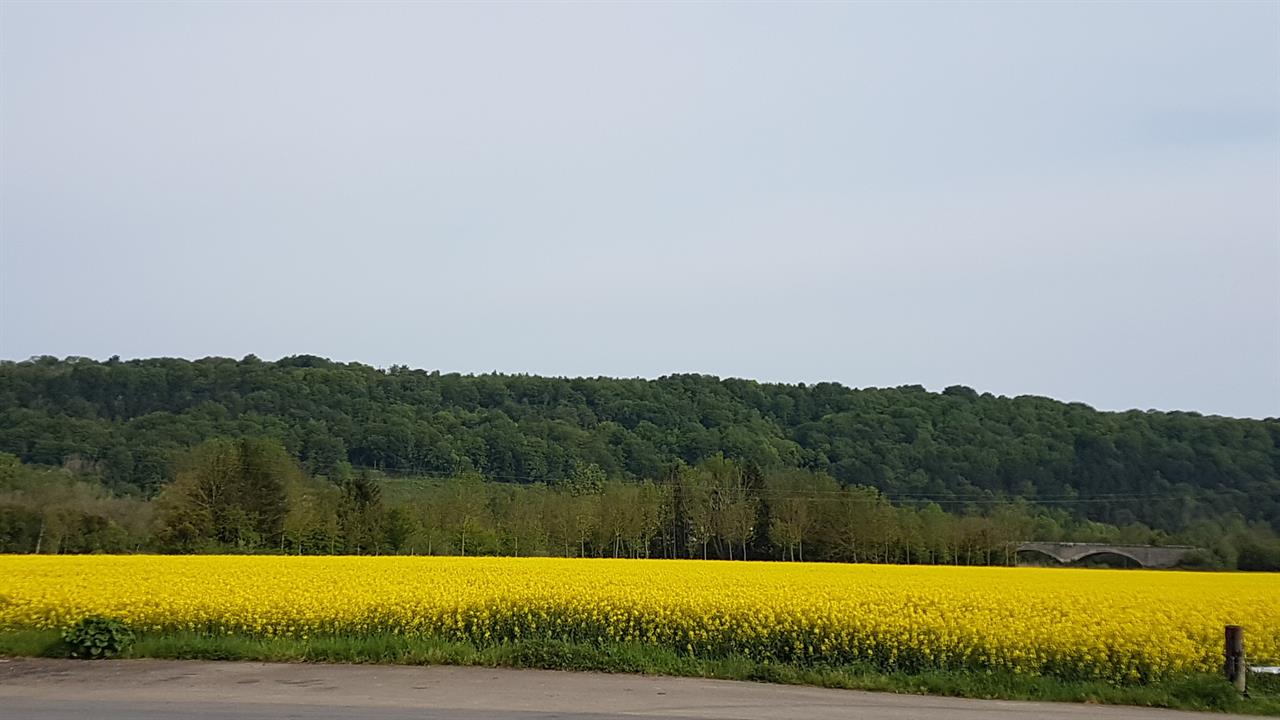 20160509_093809