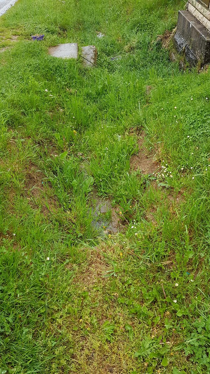 20160512_154656